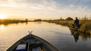 Angler’s-eye view from a small boat on the Norfolk Broads at golden hour, looking across calm, reed-lined water towards an experienced pole angler fishing from the bank.